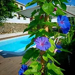 Guest house Quinta Do Chafariz 4*