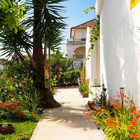 招待所 Quinta Do Chafariz