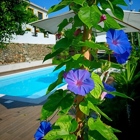 招待所 Quinta Do Chafariz 4*