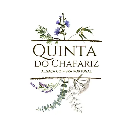 Quinta Do Chafariz 4* Algaca