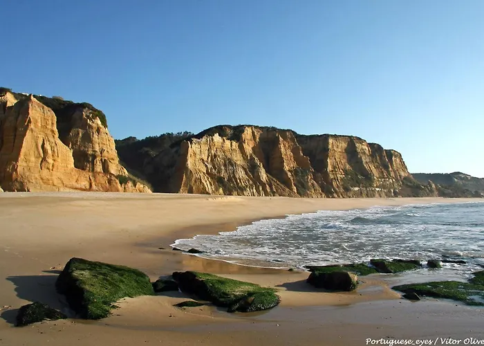 Pensión Quinta Do Chafariz Algaca