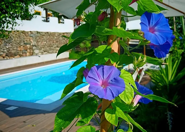 Pensión Quinta Do Chafariz 4*